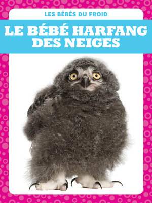 cover image of Le bébé harfang des neiges (Snowy Owlets)